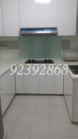 Blk 275C Compassvale Link (Sengkang), HDB 4 Rooms #160682962